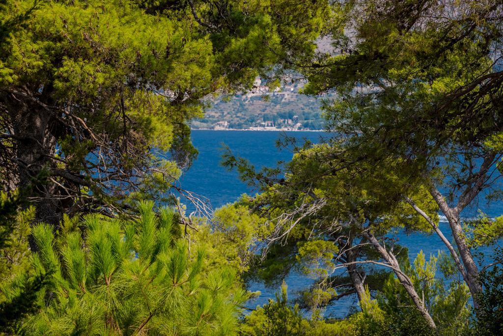 Apartment Dora Cavtat Εξωτερικό φωτογραφία